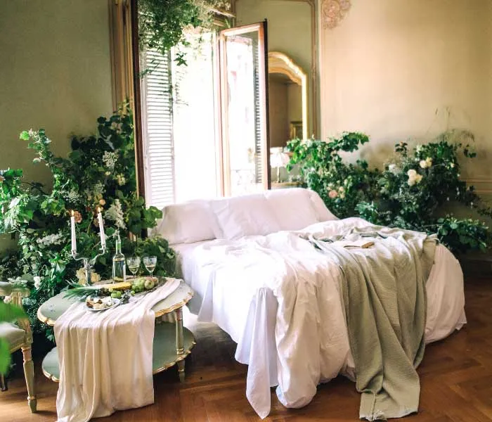 Inred med krukväxter - mina bästa tips