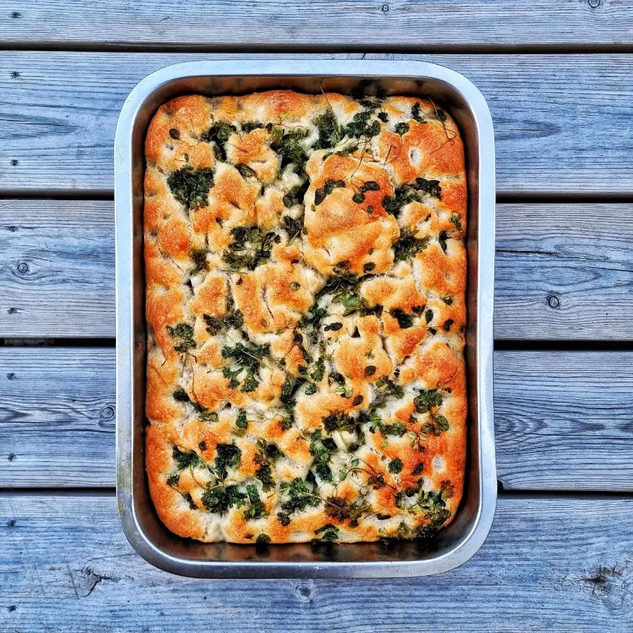 Recept - Focaccia med örter