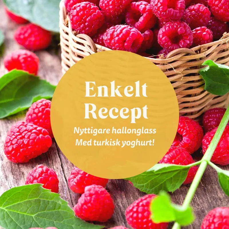 Hallonglass gjort på turkisk yoghurt - Godaste och enklaste receptet!