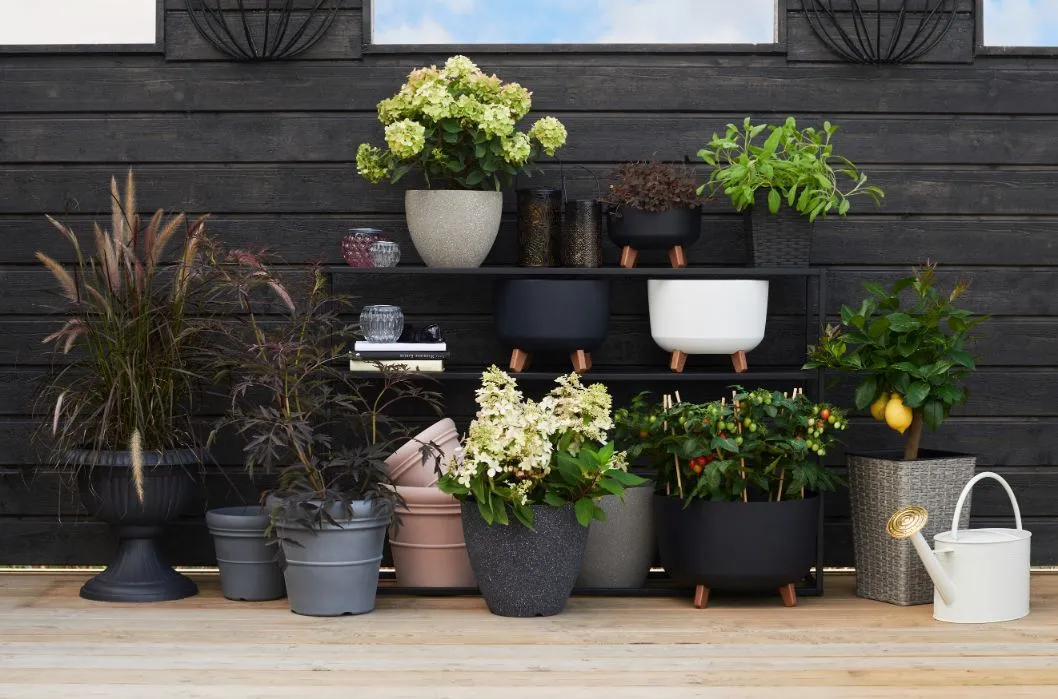 Utekrukor Rusta sommar 2023