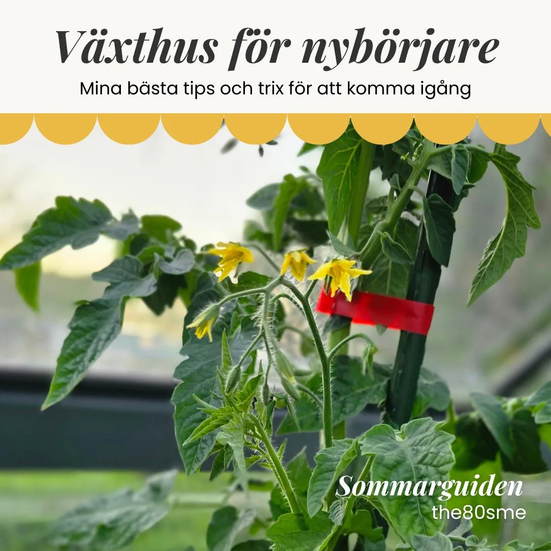 Inreda växthus för odling