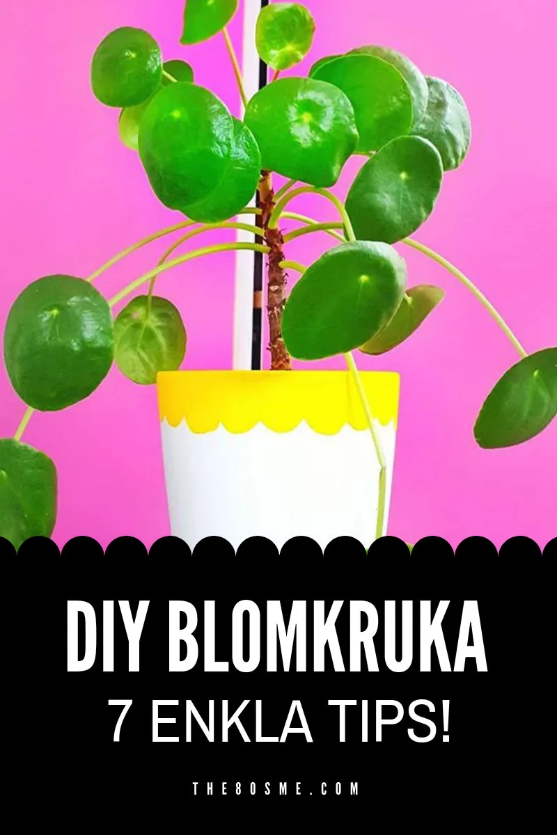 Gör om blomkrukan - från ful till favorit!